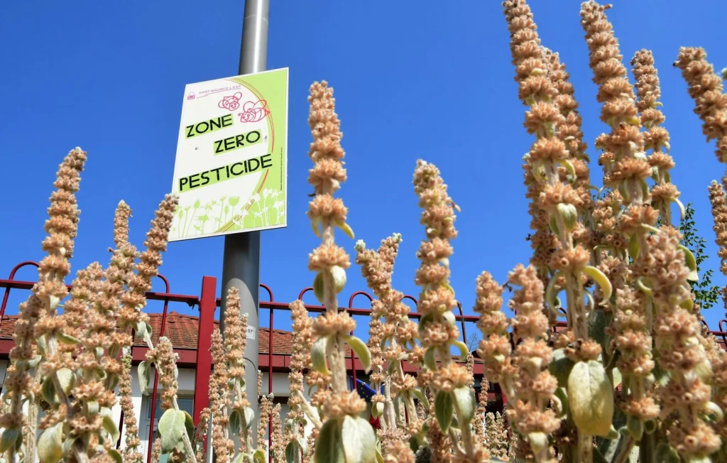 L'UE continue d'exporter des pesticides interdits malgré ses promesses