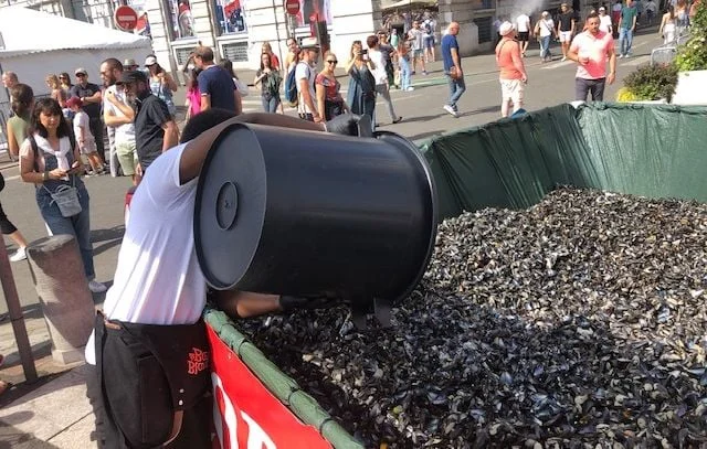 Lille innove avec des bancs en coquilles de moules recyclées
