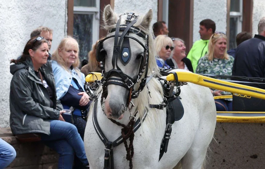 Philippe collecte des déchets à cheval à Sarcelles