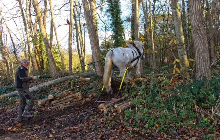 Puy-de-Dôme : Un homme meurt sur un chantier suite à une manipulation