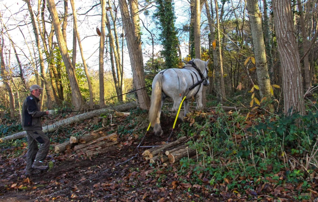 Puy-de-Dôme : Un homme meurt sur un chantier suite à une manipulation