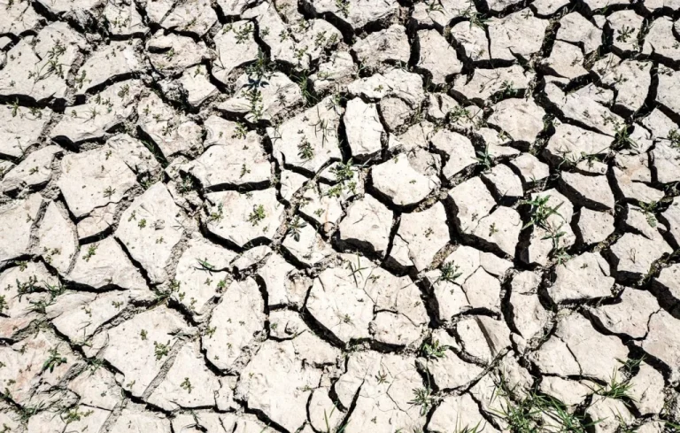 Restrictions d&rsquo;eau renforcées en Corse face à la sécheresse