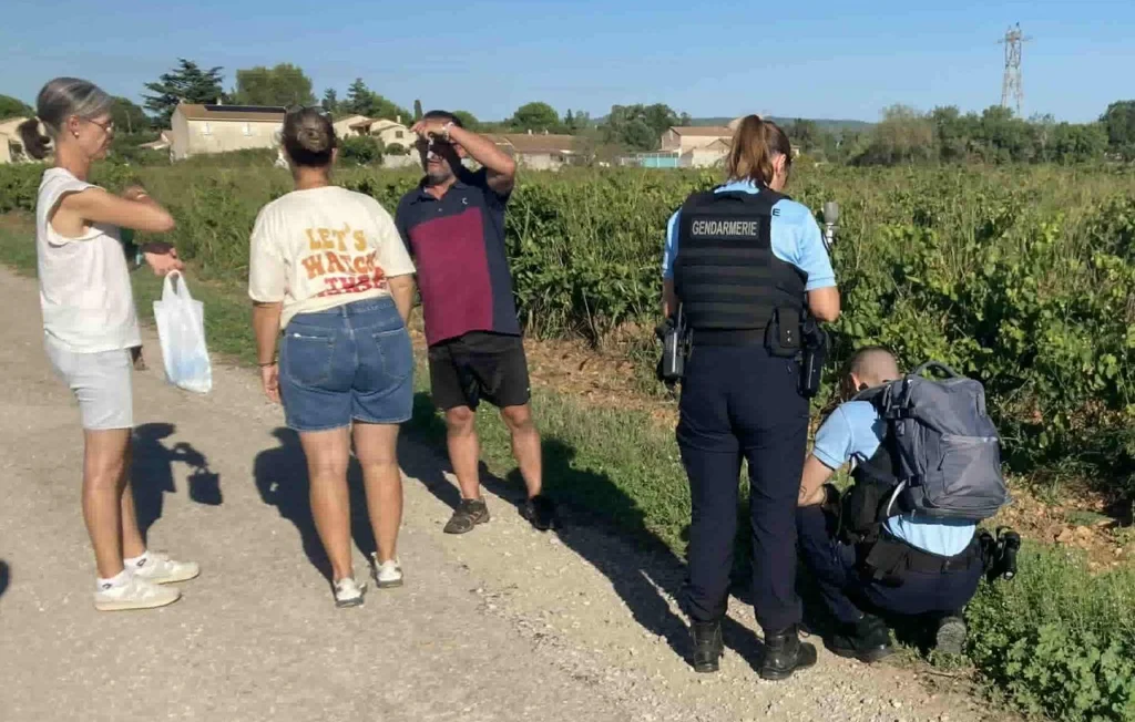 Trois chiens empoisonnés dans le Gard : une enquête ouverte