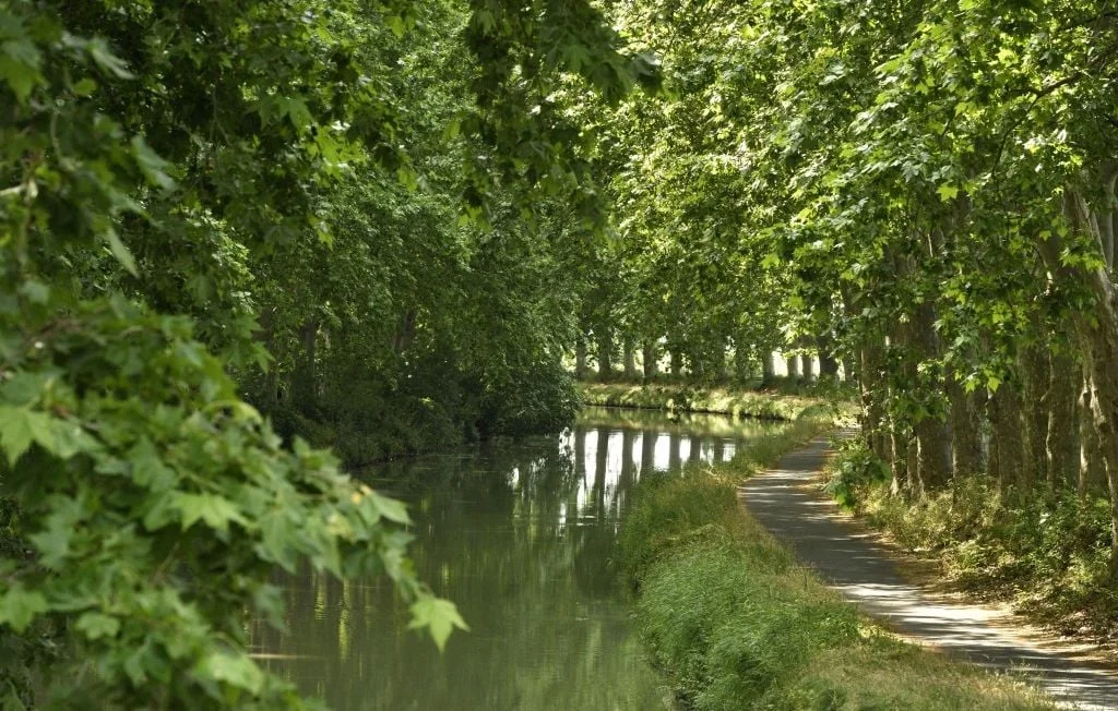 Un corps retrouvé dans le Canal du Midi : enquête pour meurtre