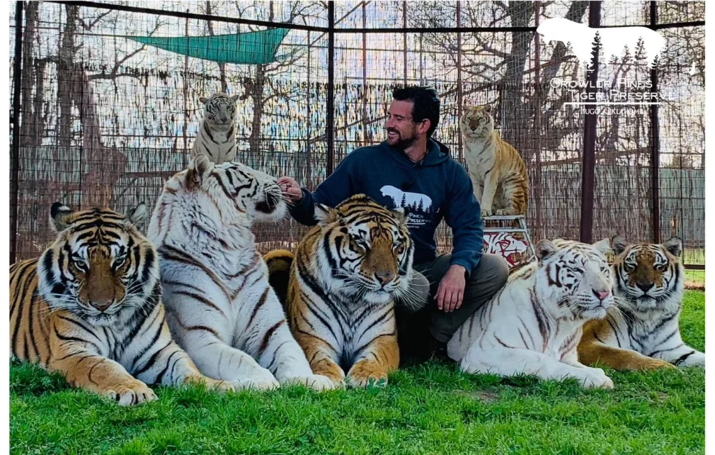 Un dresseur tué par son tigre en pleine représentation en Oklahoma