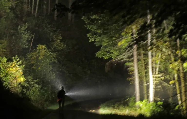 Un octogénaire disparu retrouvé sain et sauf en forêt