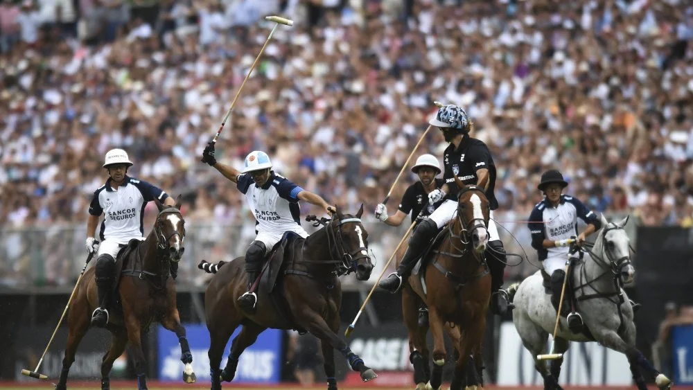 Joueurs de polo sur chevaux