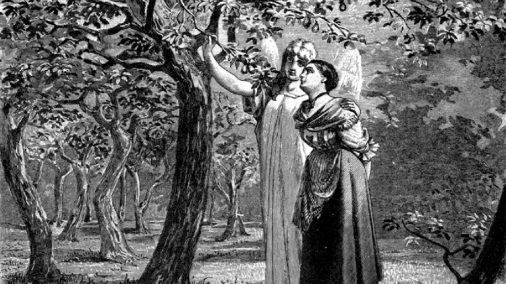 La fille sans mains, contes dérangeants des Frères Grimm