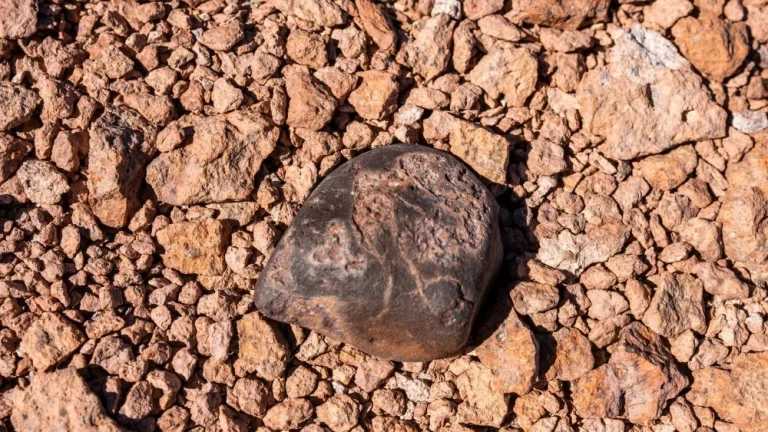 Découverte d&rsquo;une protéine extraterrestre dans une météorite