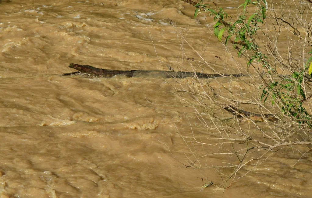 Drôme : deux disparus après une crue, recherches en cours