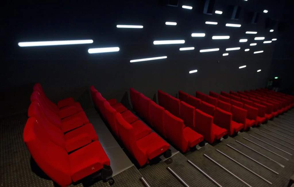 Escroquerie au cinéma : deux ex-employés condamnés à Bordeaux