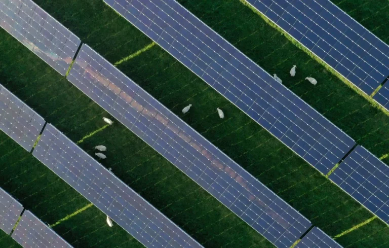 Le parc photovoltaïque de Fontenet alimentera les trains SNCF
