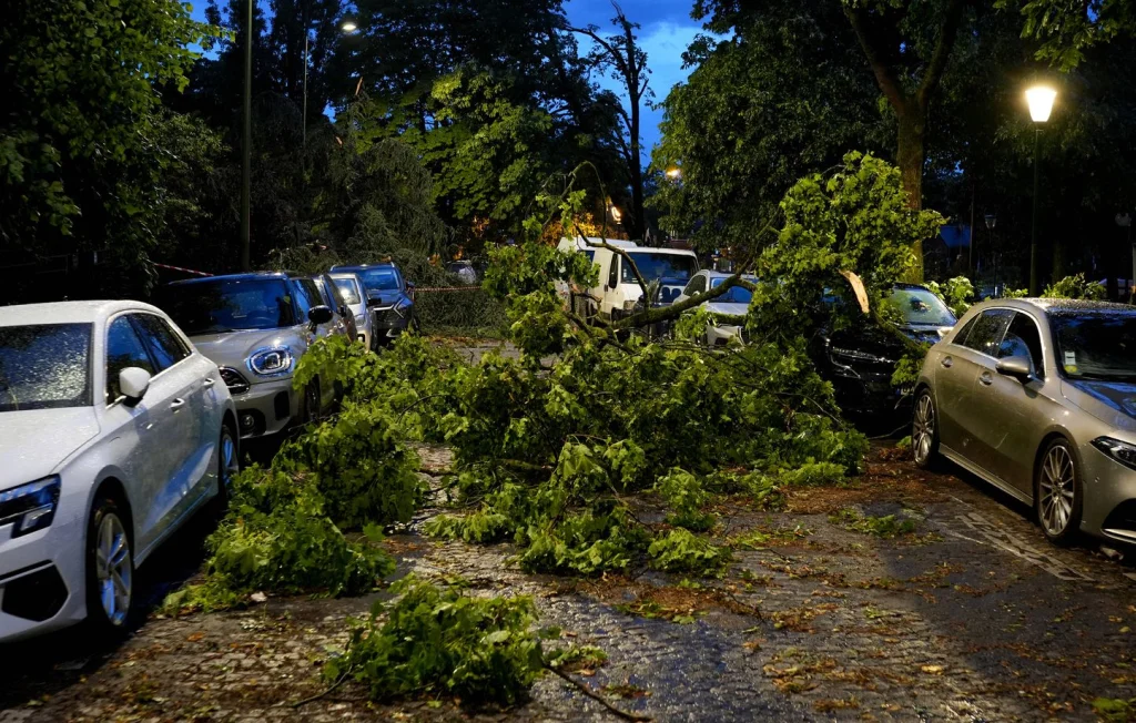 Moselle : Un coup de vent dévastateur s'abat sur Chambley-Bussières