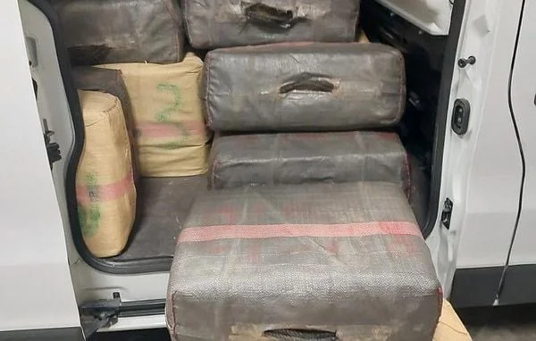 Saisie massive de cannabis dans les Pyrénées-Atlantiques