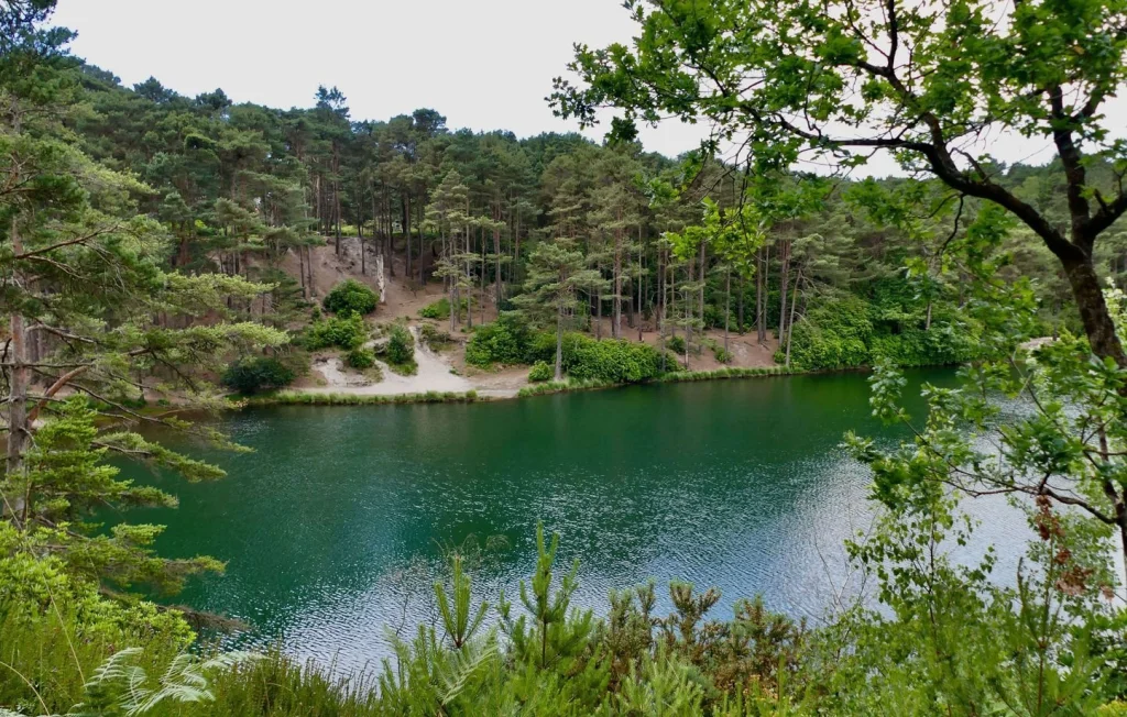 Un septuagénaire retrouvé mort dans un lac en Isère
