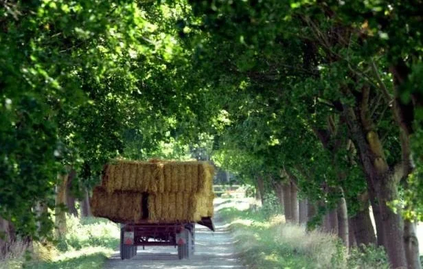Vol de fourrage : agriculteur traque les voleurs en Aveyron