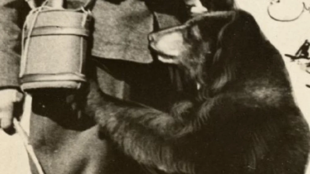 Winnie providing comfort to lonely soldier