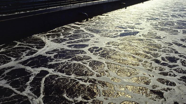 Traitement par boues activées