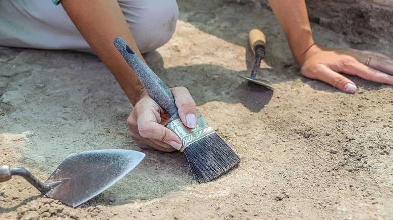 Archéologue en train de dégager du sable autour d'une découverte