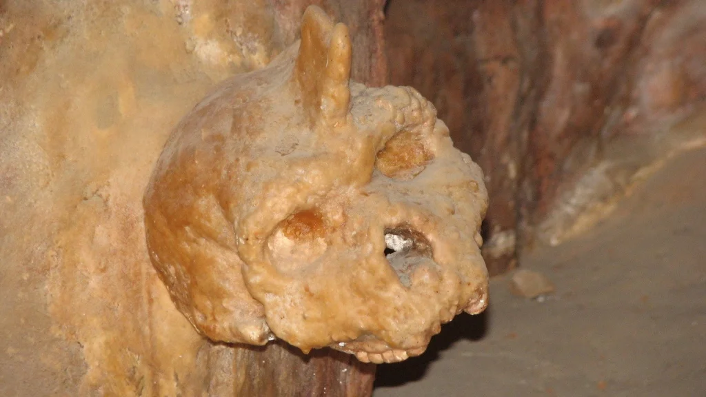 Crâne de Petralona identifié comme Homo heidelbergensis après 65 ans