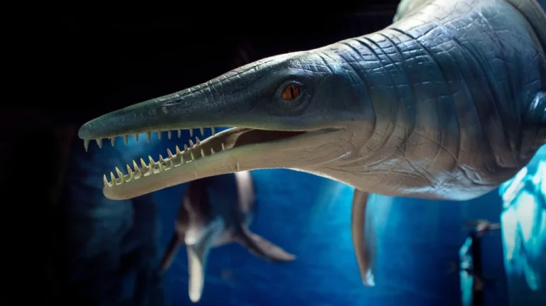 Créatures marines antiques découvertes en 2025