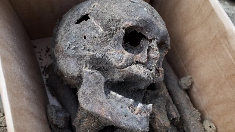 Crâne humain dans une malle