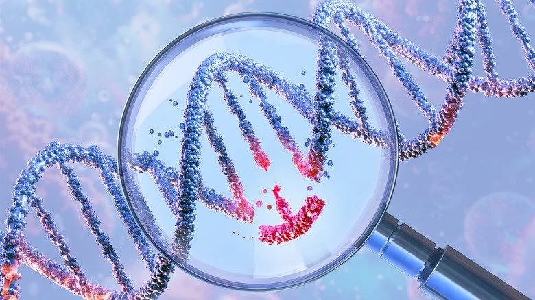 Double hélice d’ADN sous loupe