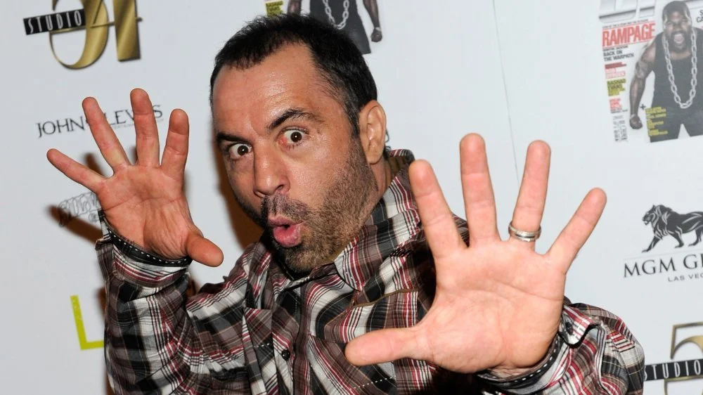 Joe Rogan portrait