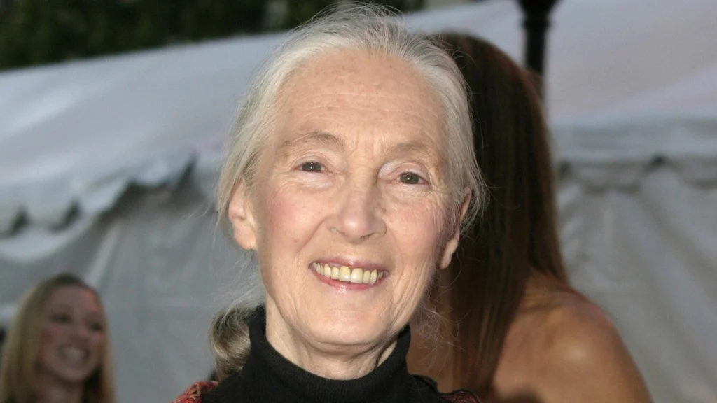 Primatologue et conservationniste Jane Goodall décède à 91 ans