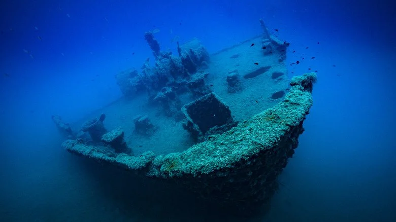 Épave sous-marine en décomposition