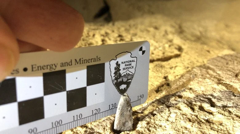 Requin miniature du Mammoth Cave