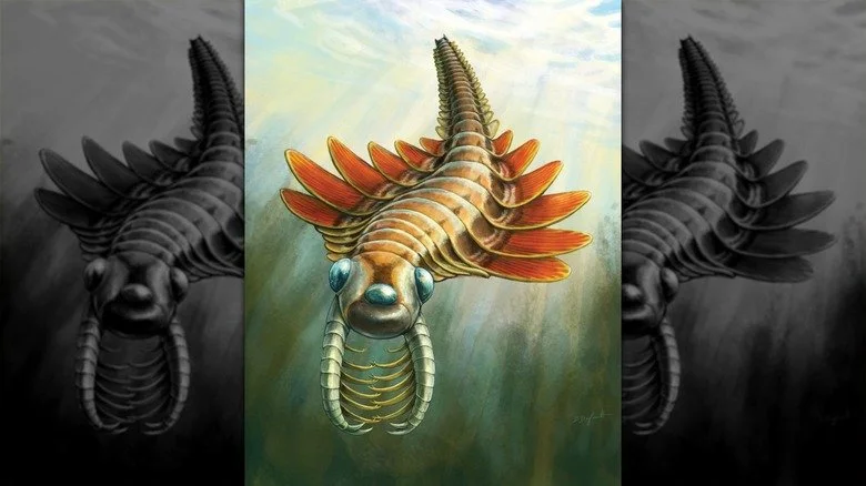 Représentation artistique d'une radiodonte à trois yeux