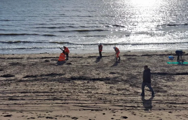 Angleterre: billes plastiques sur les plages, Southern Water pointée
