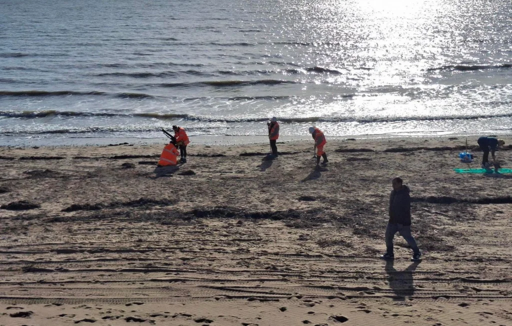 Angleterre: billes plastiques sur les plages, Southern Water pointée