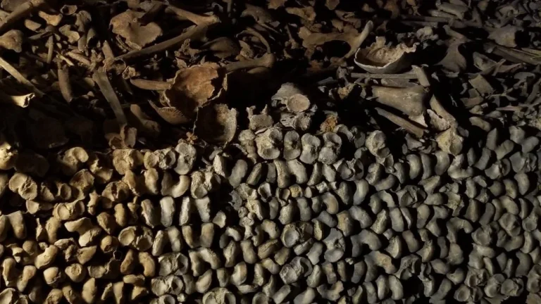 Des Murs de Squelette Découverts sous une Église en Belgique