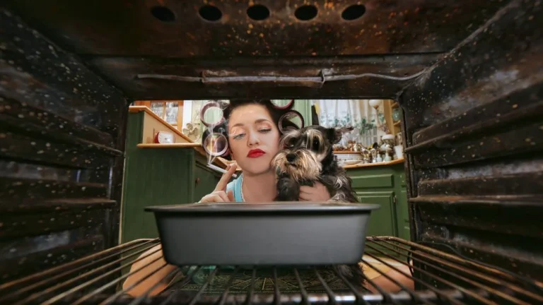 L&rsquo;alimentation américaine des années 1950 : un regard sur le passé