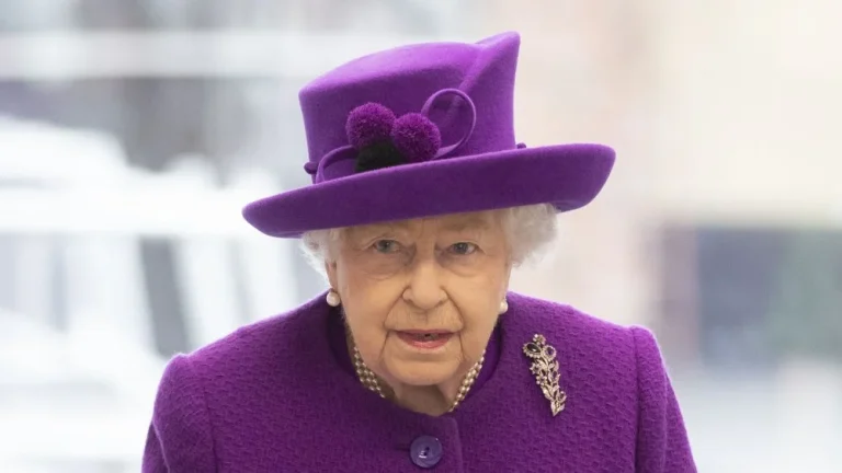La Curieuse Propriété de la Reine : Tous les Cétacés du Royaume-Uni