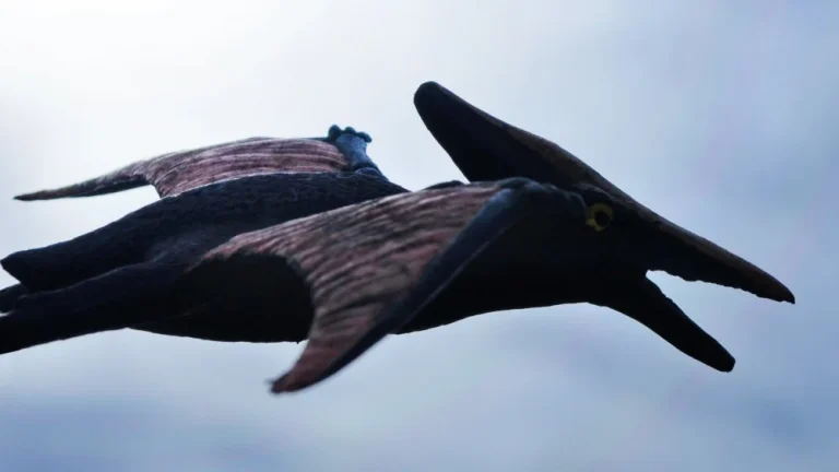 Pourquoi les ptérosaures ne sont pas des dinosaures : explications