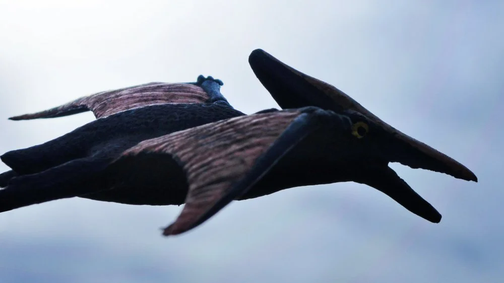 Pourquoi les ptérosaures ne sont pas des dinosaures : explications