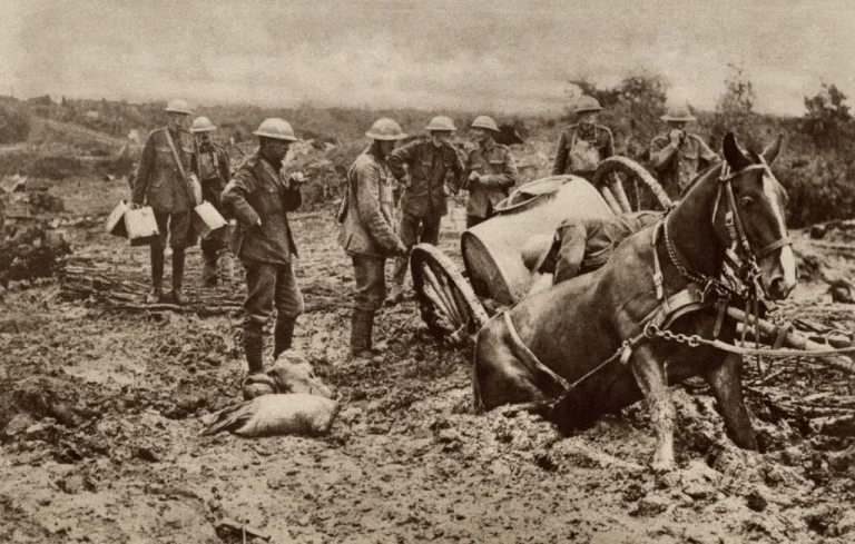 Première Guerre mondiale : l&rsquo;enfer des chevaux réquisitionnés