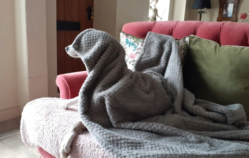 Sobriété énergétique: vivre confortablement en hiver sans chauffage?