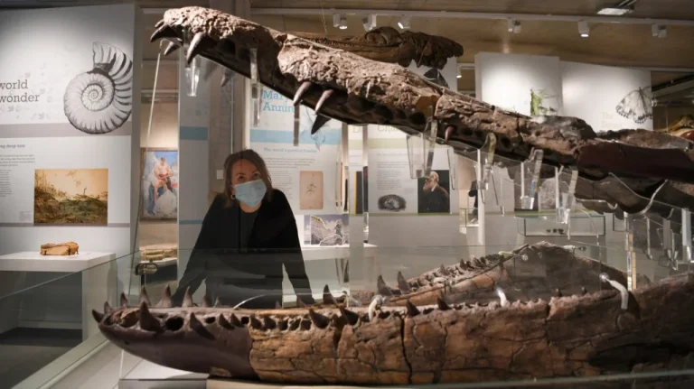 Monstres marins préhistoriques resurfacés après des millions d’années