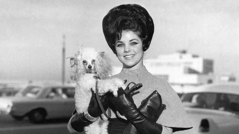 Priscilla Beaulieu pose avec un chien