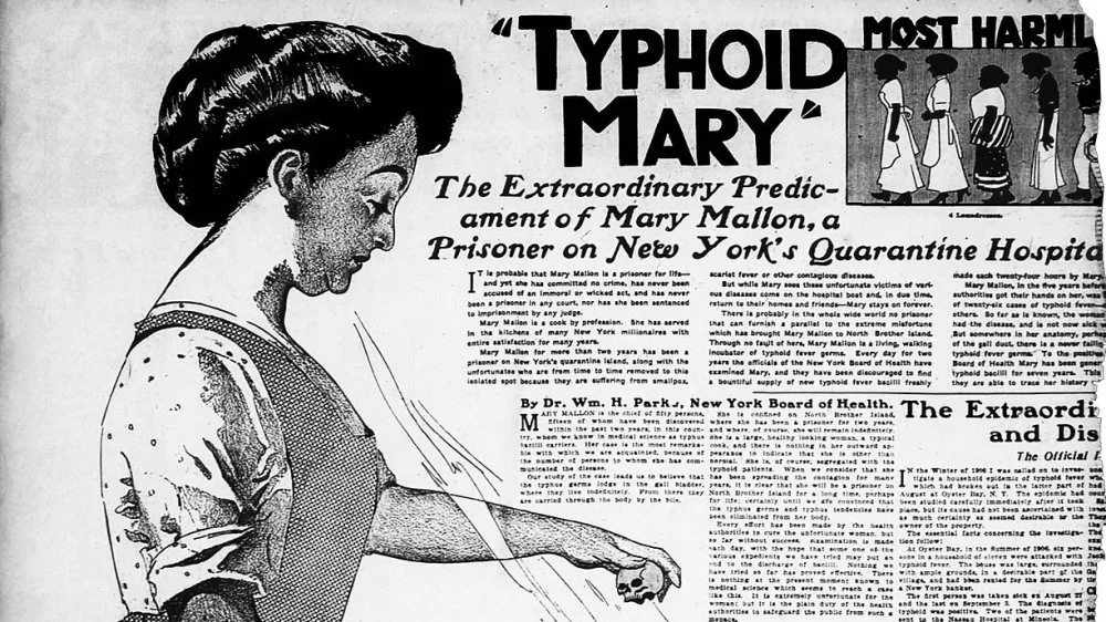 Article de journal sur Typhoid Mary