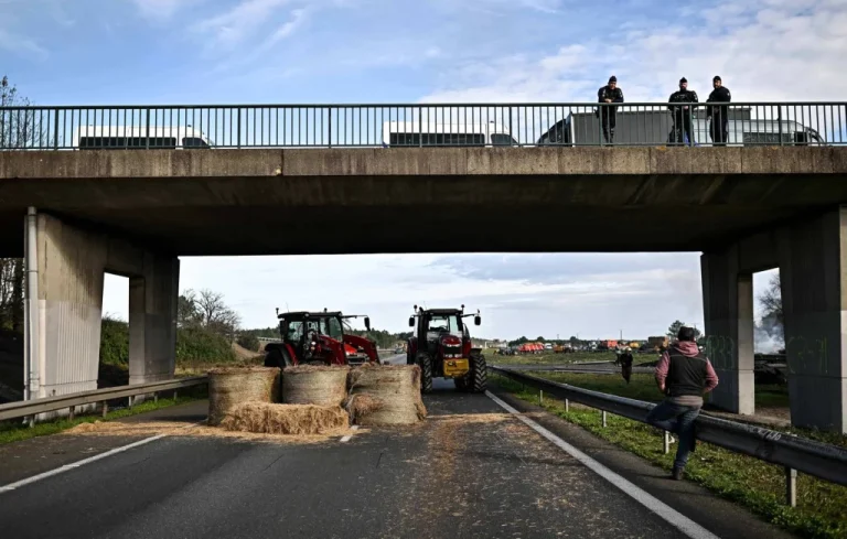 Dermatose bovine: blocages agricoles persistent dans le Sud-Ouest