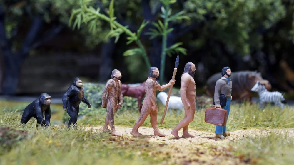 La mystérieuse population fantôme des humains disparus