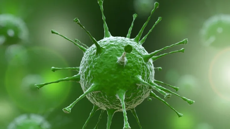 Yaravirus : le mystérieux virus qui défie la science