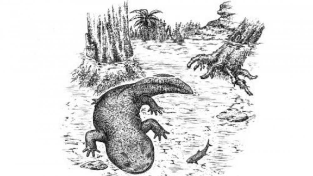 Reconstitution d'Egoria malashichev