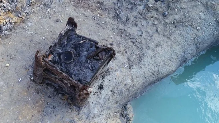 Découverte de la plus ancienne structure en bois au monde