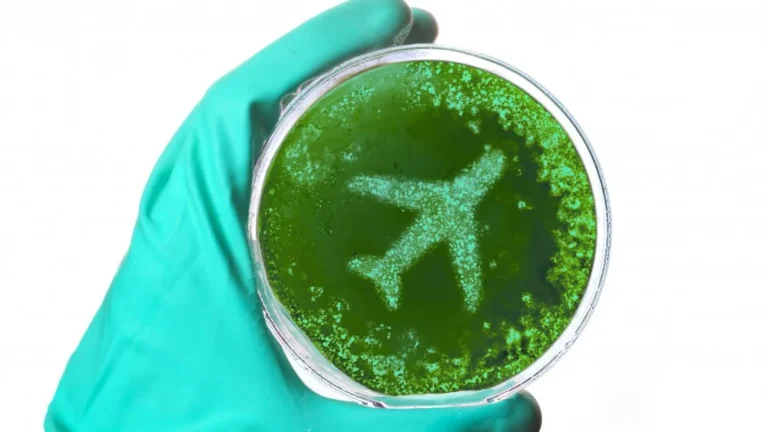 Le coin le plus sale d&rsquo;un avion : une surprise inattendue !